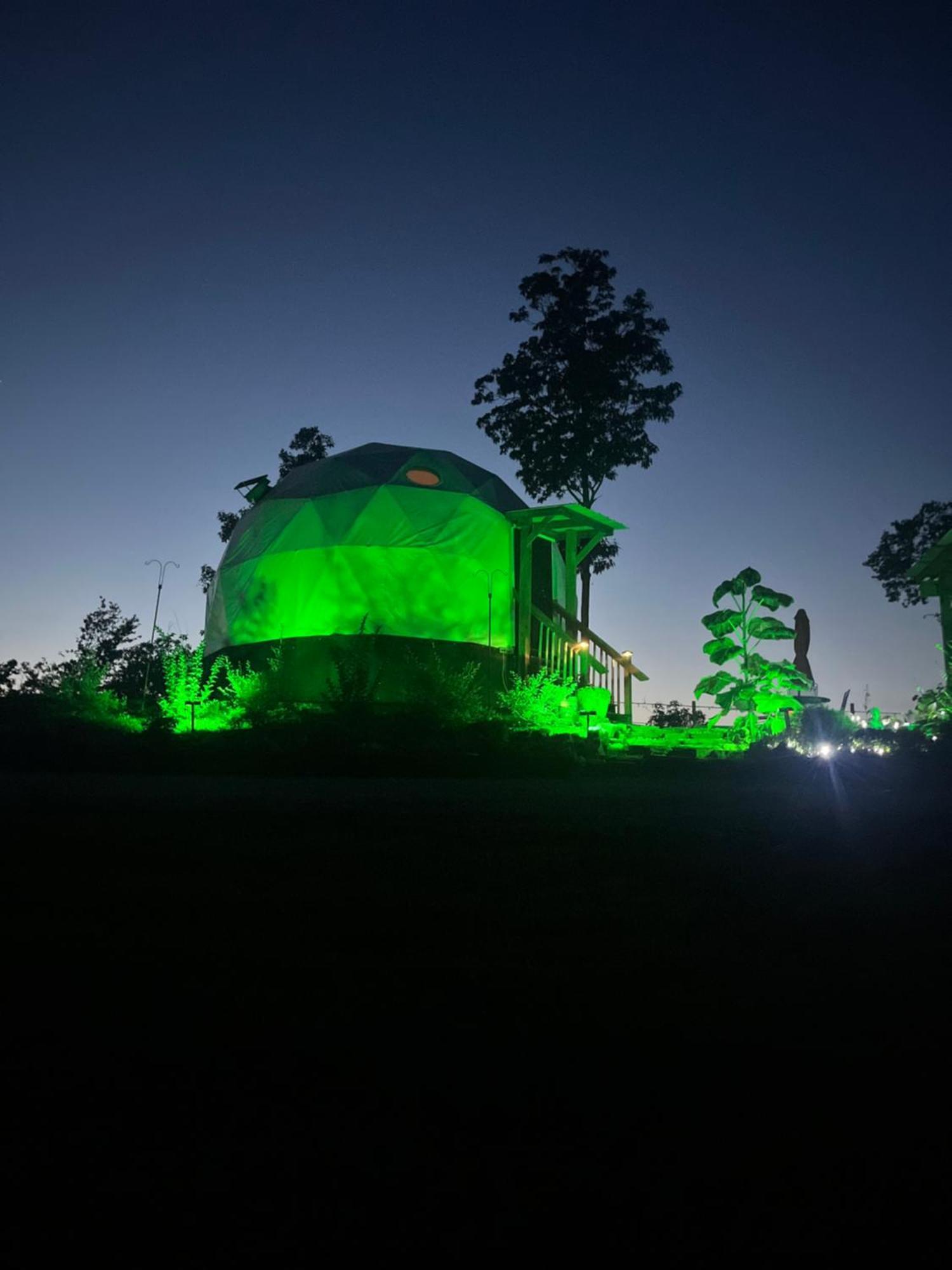Waterfront Luxury Glamping Dome Hotell Rogersville Eksteriør bilde