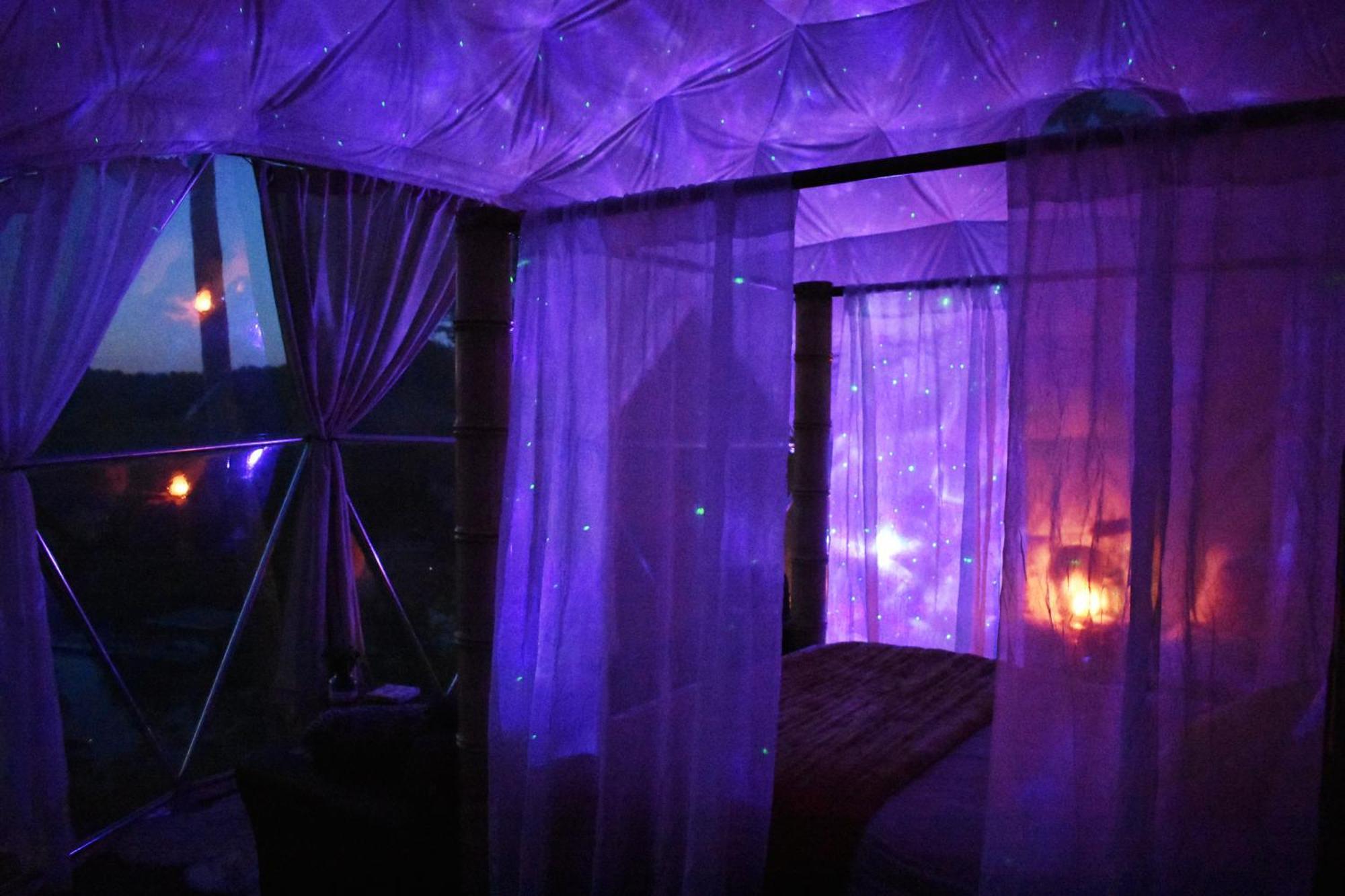 Waterfront Luxury Glamping Dome Hotell Rogersville Eksteriør bilde